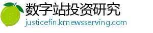 数字站投资研究